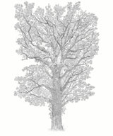 Le Grand Chêne Bespoke