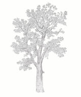 Le Grand Marronnier Bespoke