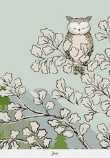 Coucou Hibou bespoke