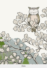 Coucou Hibou bespoke