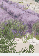 Provence Color Bespoke