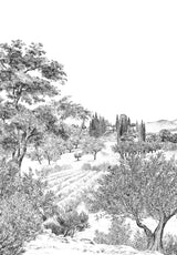 Provence Greyscale Bespoke