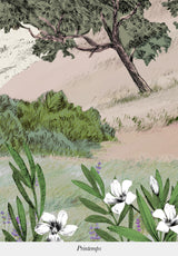 Provence Color Bespoke