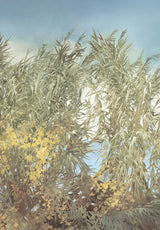 Cannes Provençales bespoke