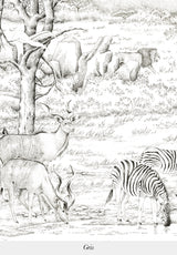 Vallée du Rift Bespoke