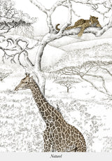 Vallée du Rift Bespoke