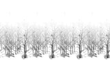 Forêt Enchantée Bespoke