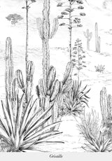 Succulentes bespoke