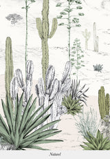 Succulentes bespoke