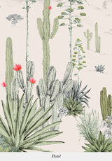 Succulentes bespoke