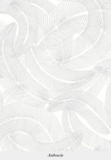Plumes