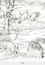 Vallée du Rift Bespoke