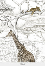 Vallée du Rift Bespoke