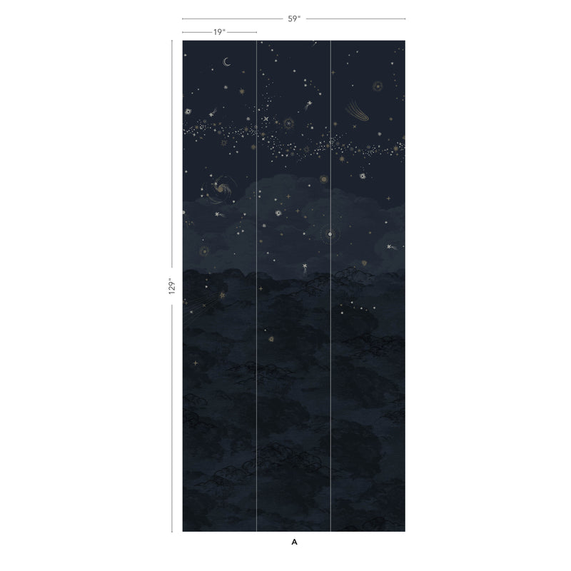 COSMOS NUIT