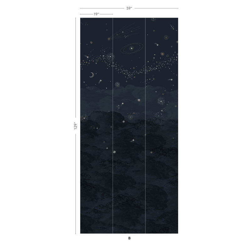 COSMOS NUIT