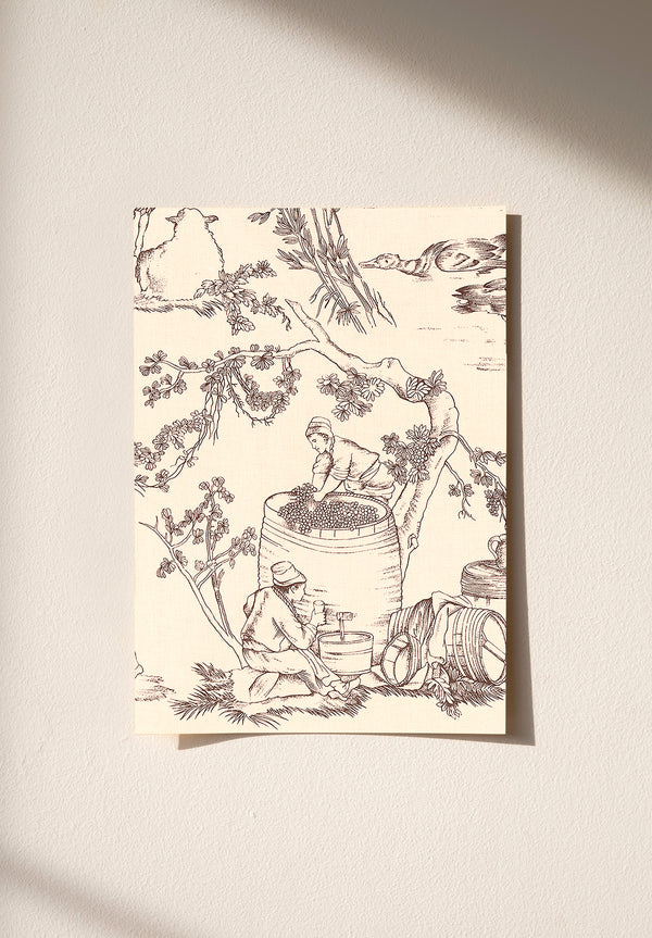 Gally sample