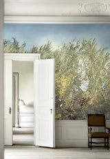 Arundo Donax bespoke