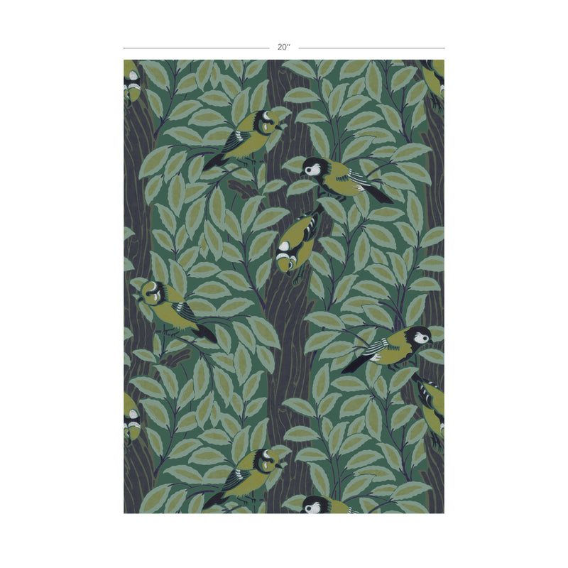 Le Chant des Oiseaux