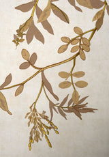 Chèvrefeuille Bespoke | Embroidered Wallpaper