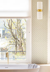 Aurèle Stripe