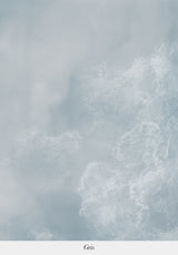 Ciel