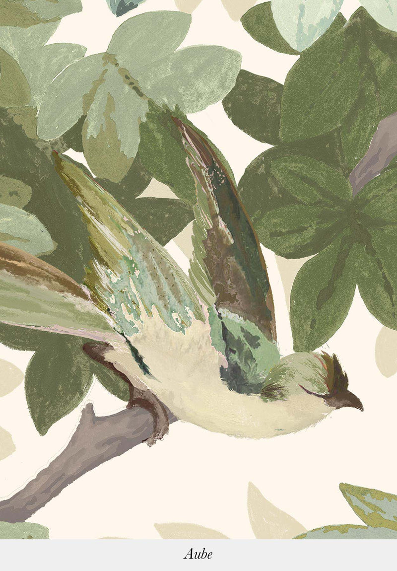 Vénus | Les Oiseaux