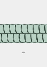 Nantucket Weave Border