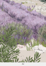 Provence Color