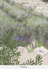 Provence Color Bespoke