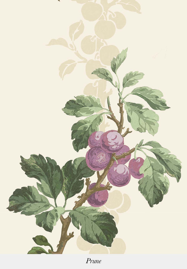Prunus