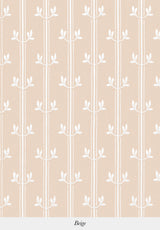 Aurèle Stripe