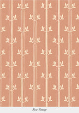 Aurèle Stripe