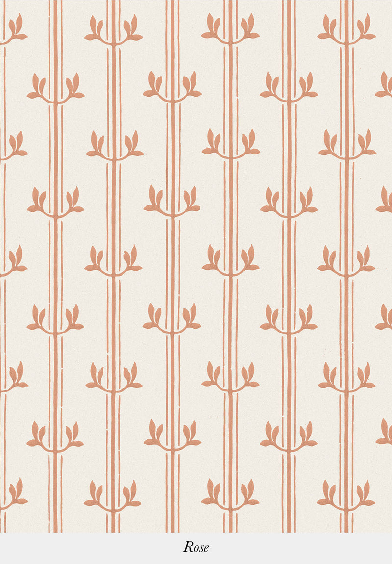 Aurèle Stripe