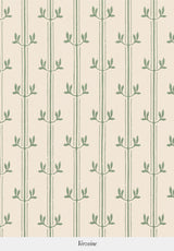 Aurèle Stripe