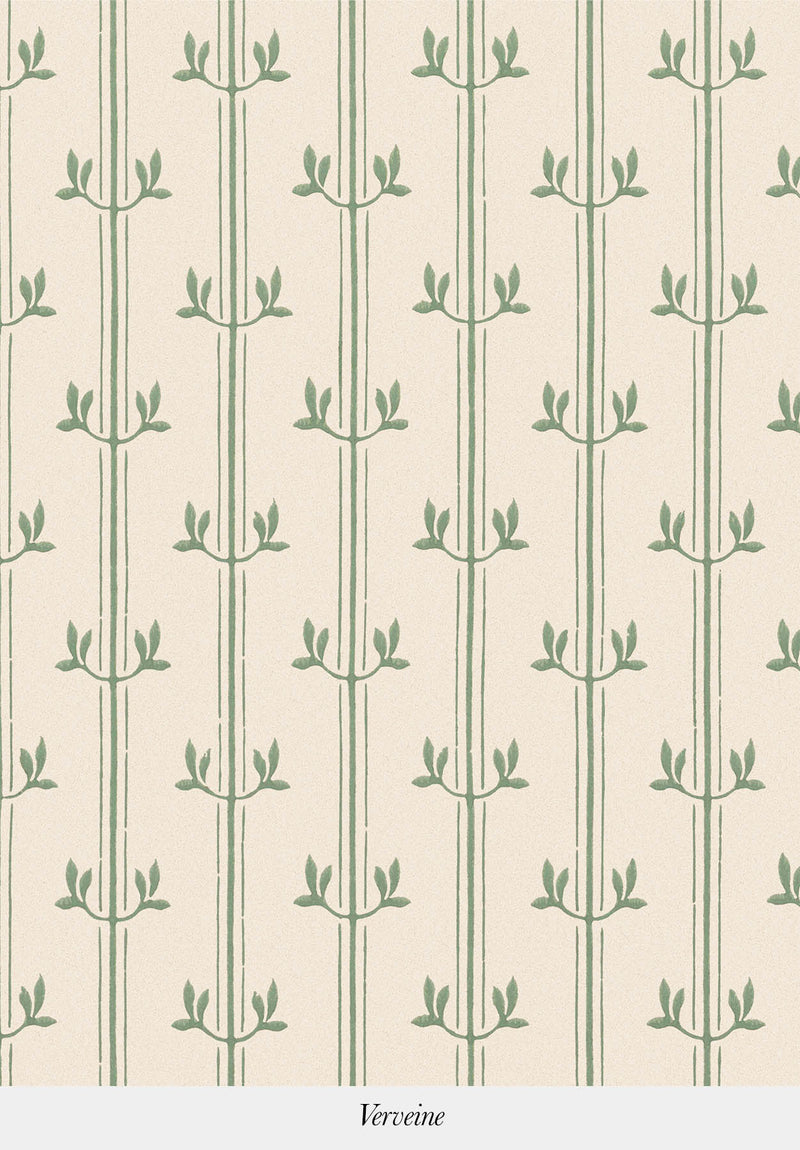Vénus | Aurèle Stripe