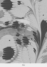 Marbré de Venise Rolls