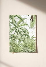 Amazone Naturel Sample