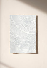 Plume Sample