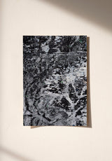 Roi des Aulnes Sample