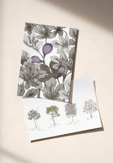 Arbustes Sample - OMBRE_ARBUSTES_FIGUIER_GRIS