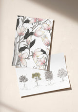 Arbustes Sample - OMBRE_ARBUSTES_MAGNOLIA_GRIS