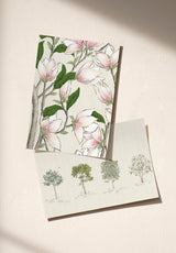 Arbustes Sample - OMBRE_ARBUSTES_MAGNOLIA_NATUREL