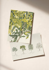 Arbustes Sample - OMBRE_ARBUSTES_MIMOSA_NATUREL