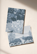 East Coast Sample - OMBRE_EAST_COAST_BLEU
