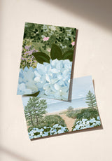 East Coast Sample - OMBRE_EAST_COAST_CIEL
