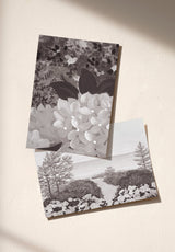 East Coast Sample - OMBRE_EAST_COAST_GRIS