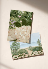 East Coast Sample - OMBRE_EAST_COAST_PECHE