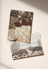East Coast Sample - OMBRE_EAST_COAST_SEREIN