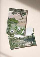 Provence Color Sample - PRINTEMPS