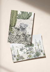 Succulentes Sample - OMBRE_SUCCULENTES_NATUREL